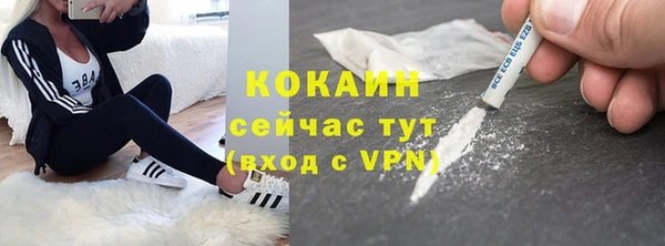 винт Новозыбков