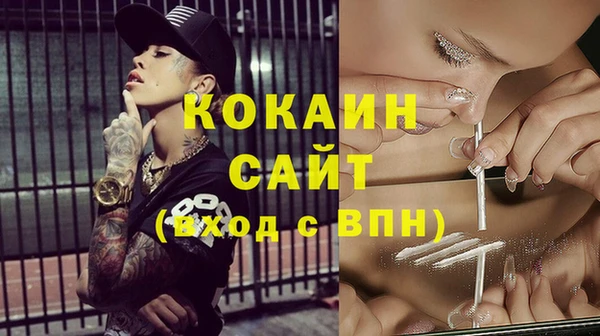 винт Новозыбков