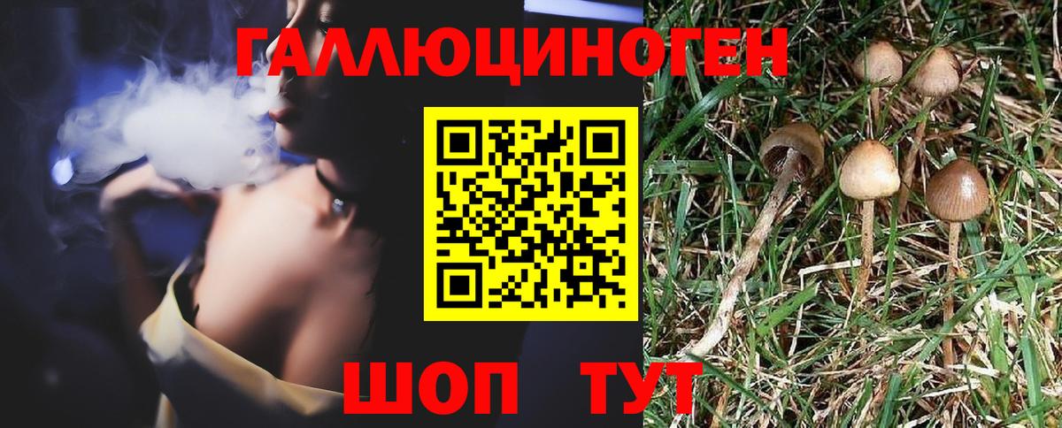 Галлюциногенные грибы MAGIC MUSHROOMS Арсеньев