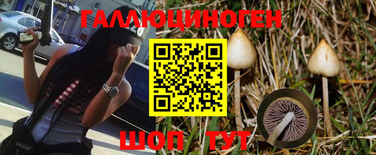 Псилоцибиновые грибы Magic Shrooms  Вход с VPN  Галлюциногенные грибы Magic Shrooms  Арсеньев 